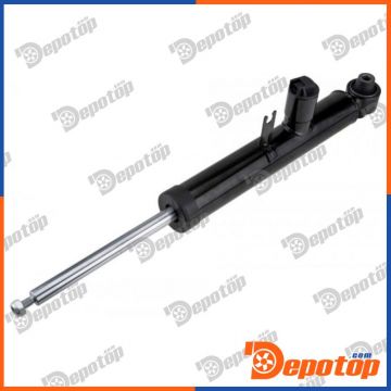 Amortisseur de suspension arrière pour BMW | A-BM-010, 37126793877